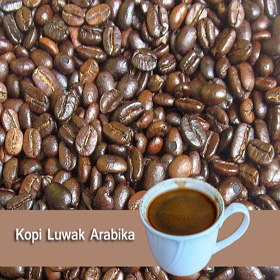 Kopi Luwak Asli Arabika