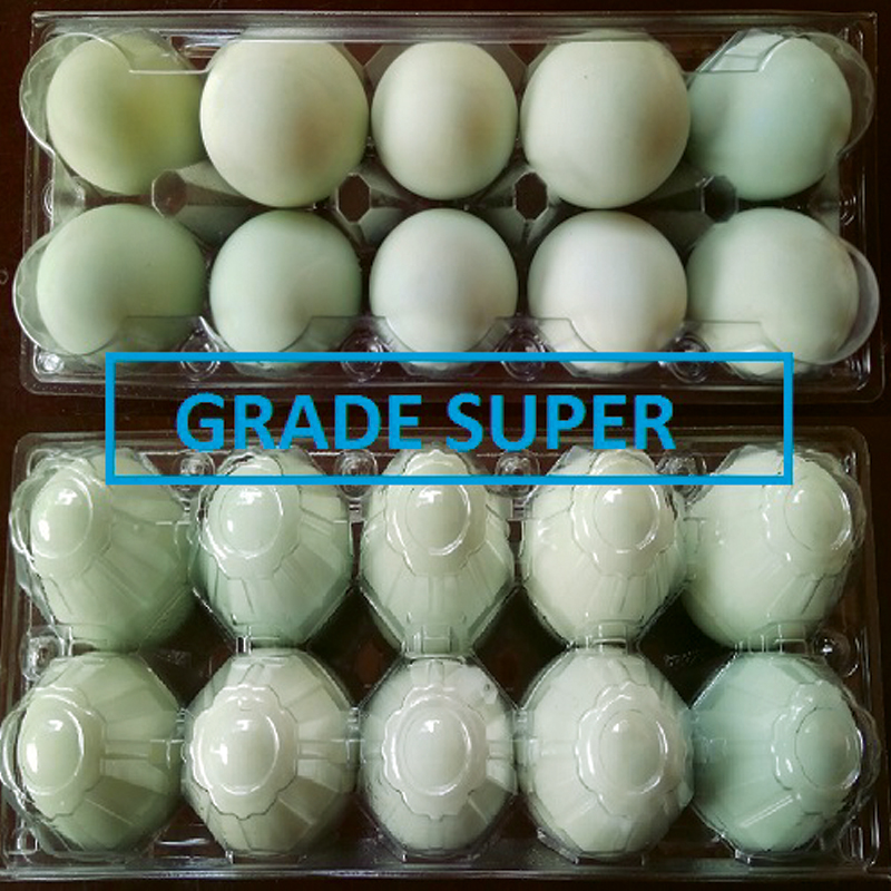 Telur Asin Super ( 10 pcs )