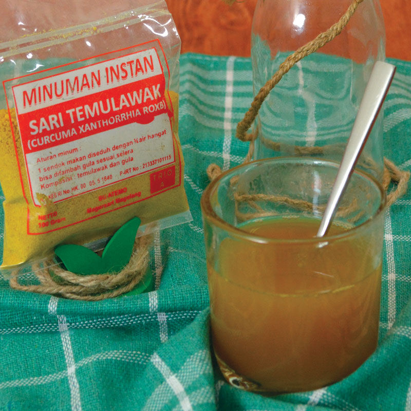 Minuman Temulawak  ( 10 Pack )